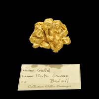 Pépite d'or (Mato Grosso, Brésil)